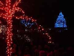 032 Toledo Zoo Light Show [2008 Dec 27]
